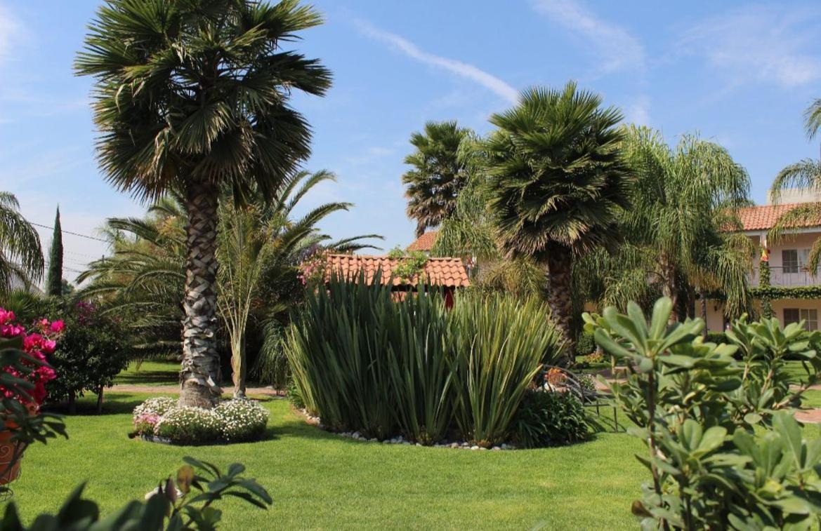 Hotel Palmas Teotihuacan San Juan Teotihuacan Exterior photo